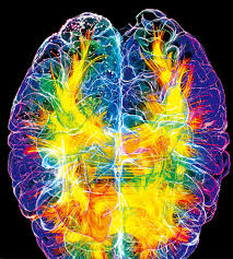 뇌 건강 영양제 기억력 이상 신호 늦기 전에 알아야할 것