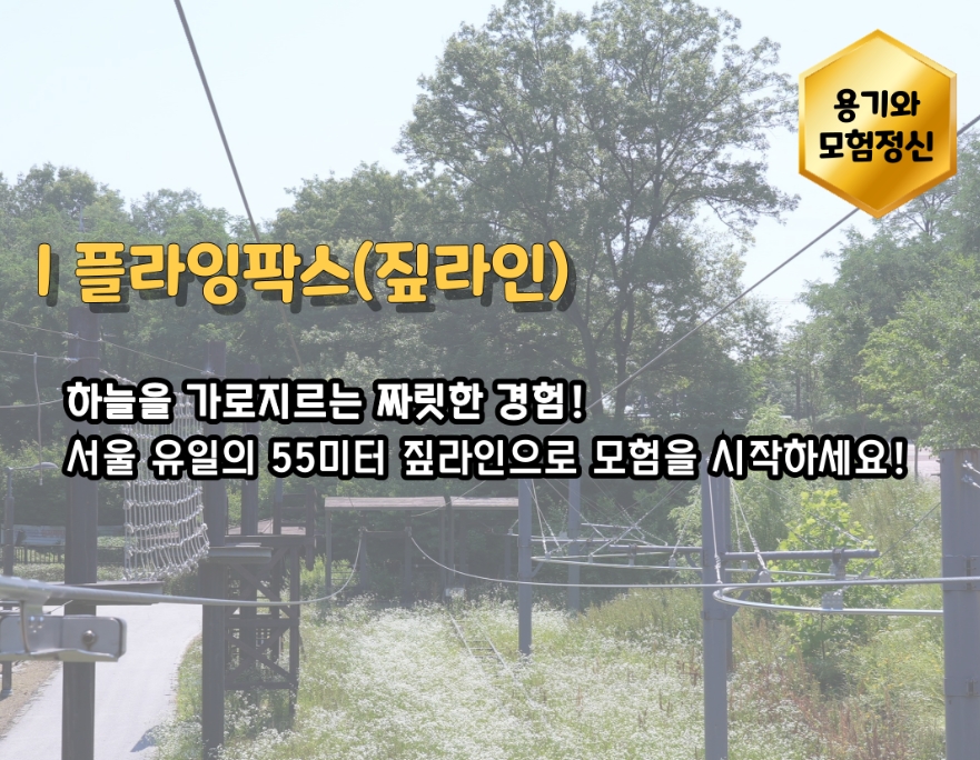 플라잉팍스(짚라인)