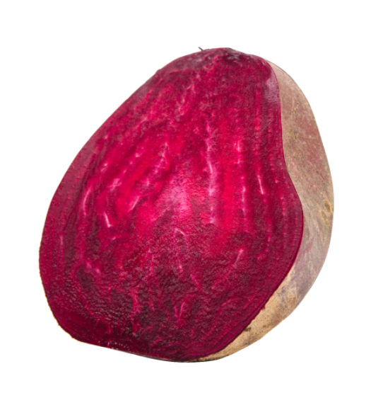 비트