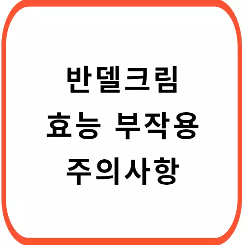 반델크림-썸네일