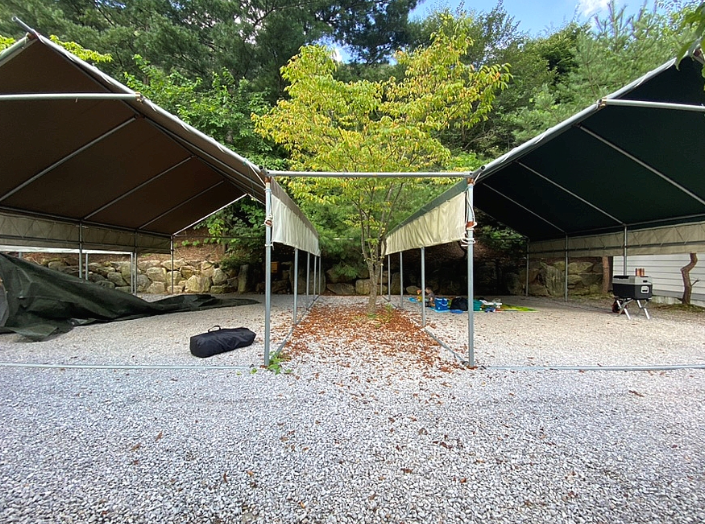 영월느티나무캠핑장