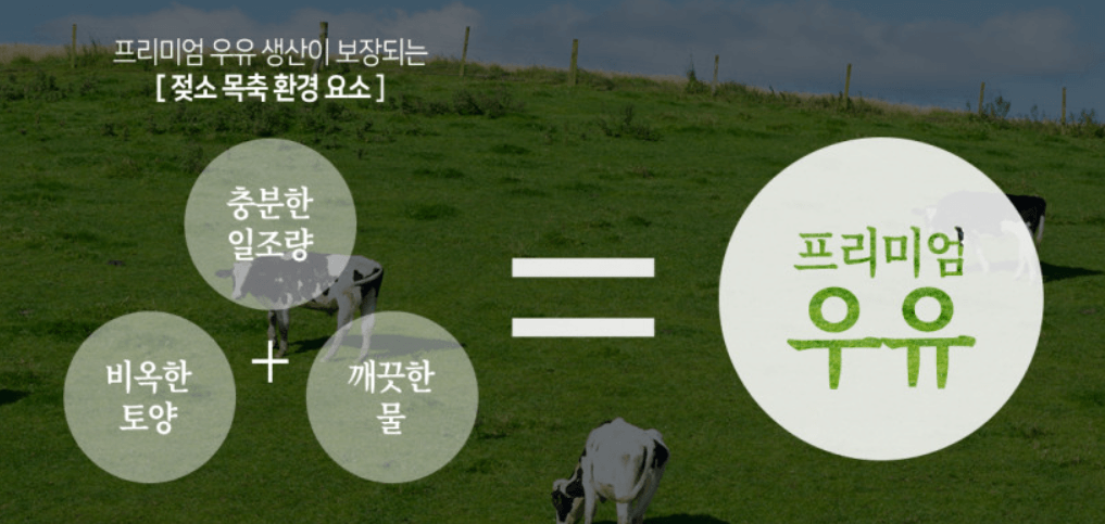 멸균우유 소비기한