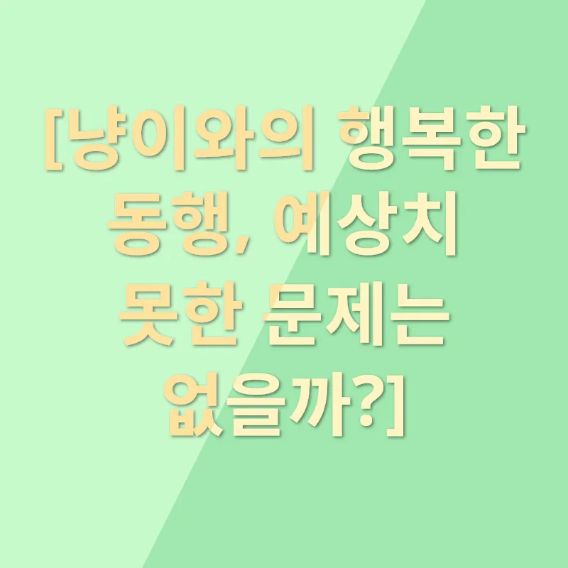 안전한 고양이 입양_3