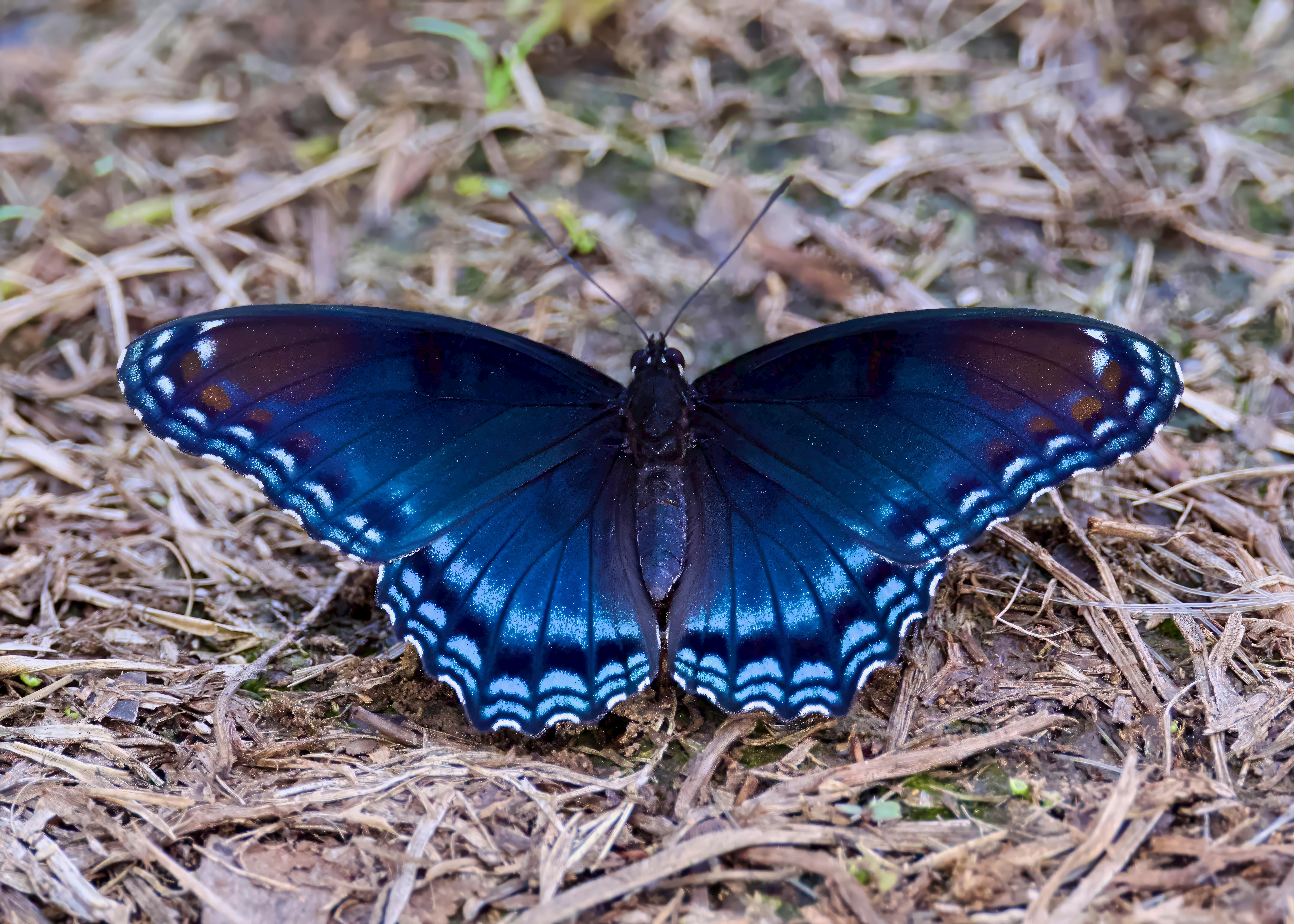 특정 장소에서 죽는을 상징하는 이미지