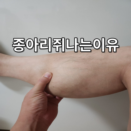 종아리쥐나는이유