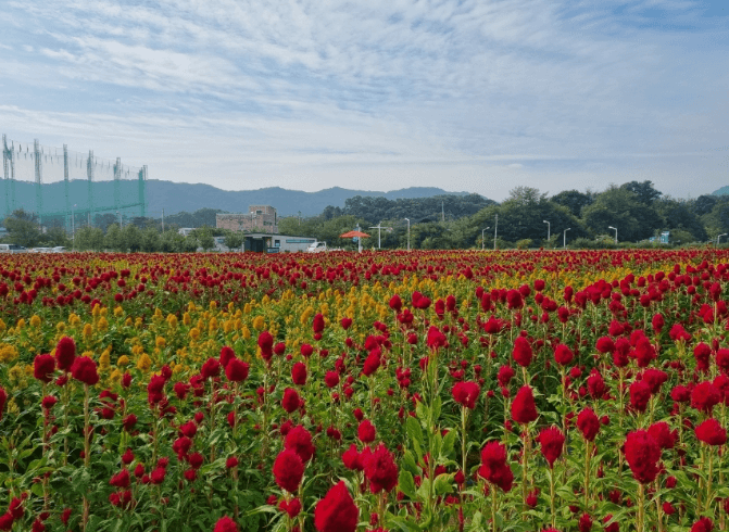 경기도 가볼만한곳 베스트10