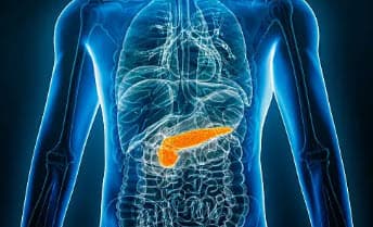 🔫췌장이 약해지면 나타나는 증상과 해결 방법