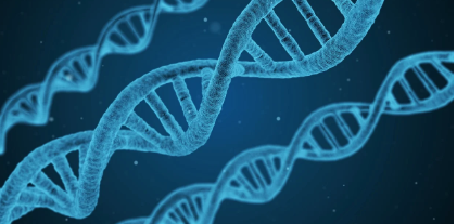 장수하는 사람들의 공통 습관: 과학으로 분석한 장수 유전자와 생활법