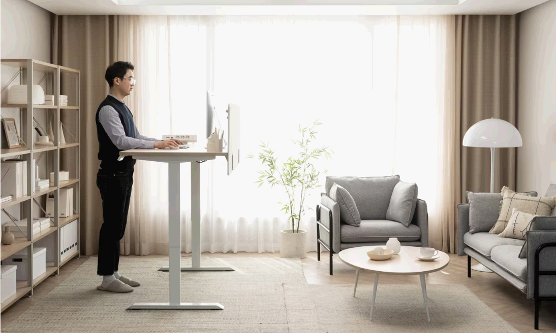 리바트-듀얼모터-모션데스크-단점