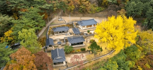 밀양 금시당백곡제