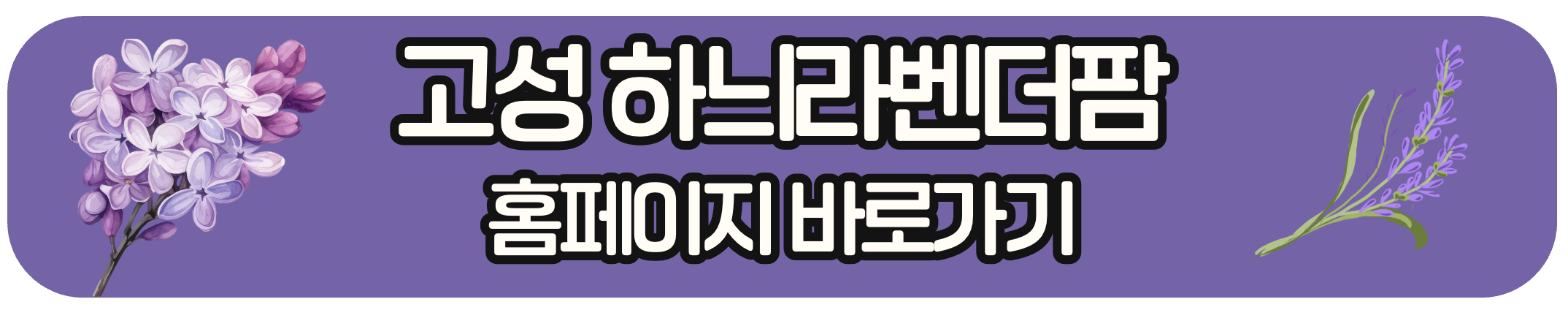 https://www.lavenderfarm.co.kr/src/main/indexpage.php
고성 하늬라벤더팜 안내