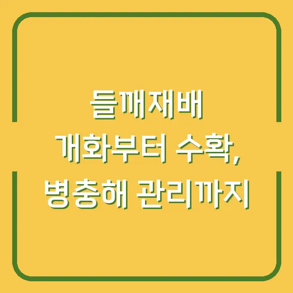 들깨재배 개화부터 수확, 병충해 관리까지