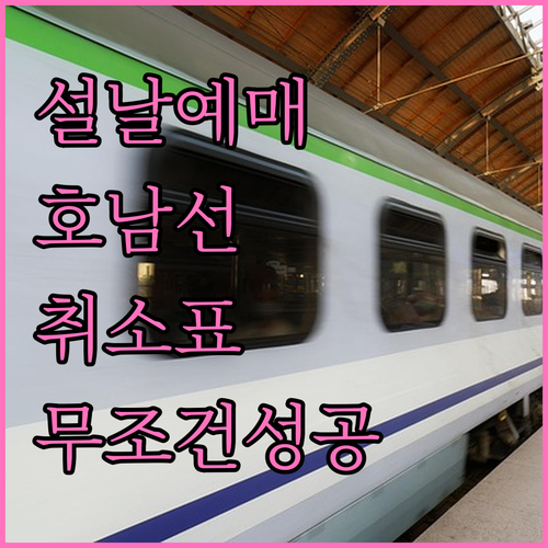센트럴시티 호남선 설날 예매 일정 및..