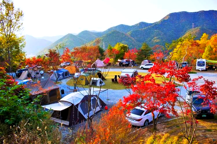산꽃벚꽃마을 오토캠핑장