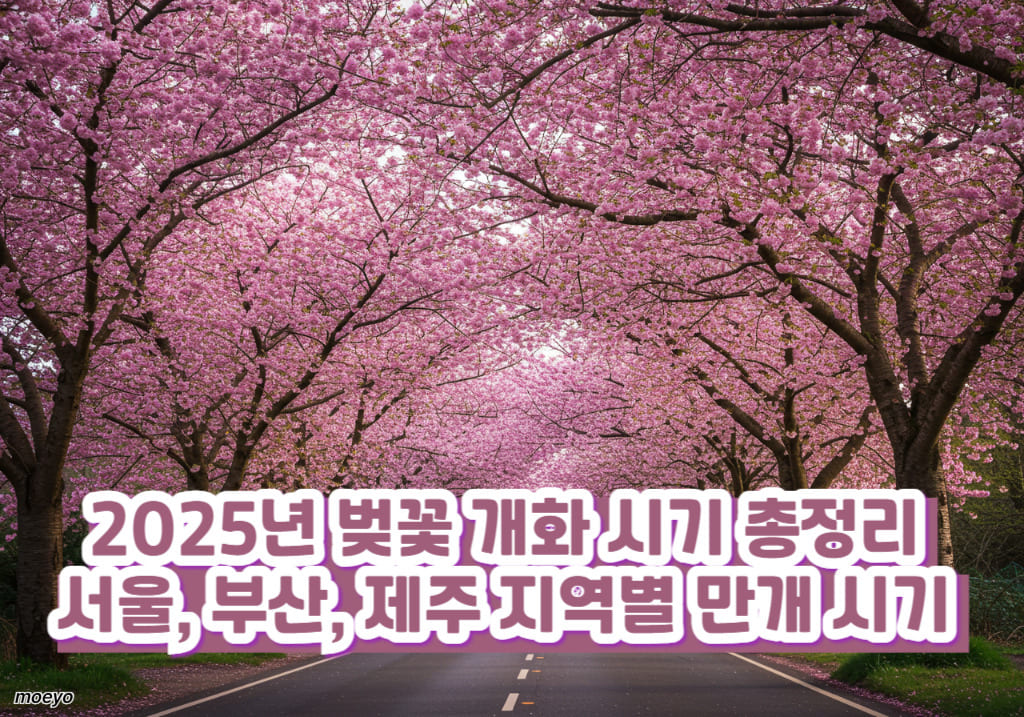 벚꽃은 보통 개화에서 만개까지 5~7일 정도 소요되며, 만개 후 일주일 안에 꽃잎이 지기 시작합니다.