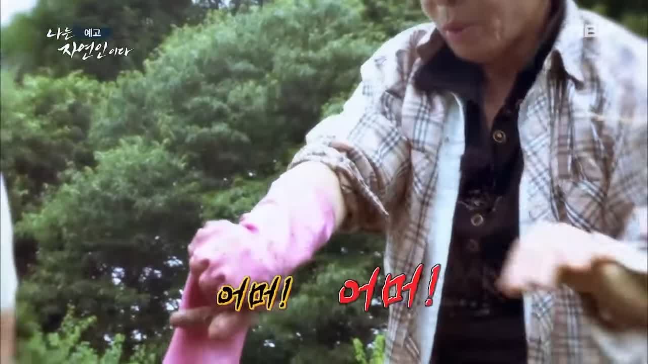 이승윤 윤택 나는 자연인이다 511회 나의 첫 독립일기 자연인 이영숙 소개 및 출연 다시보기