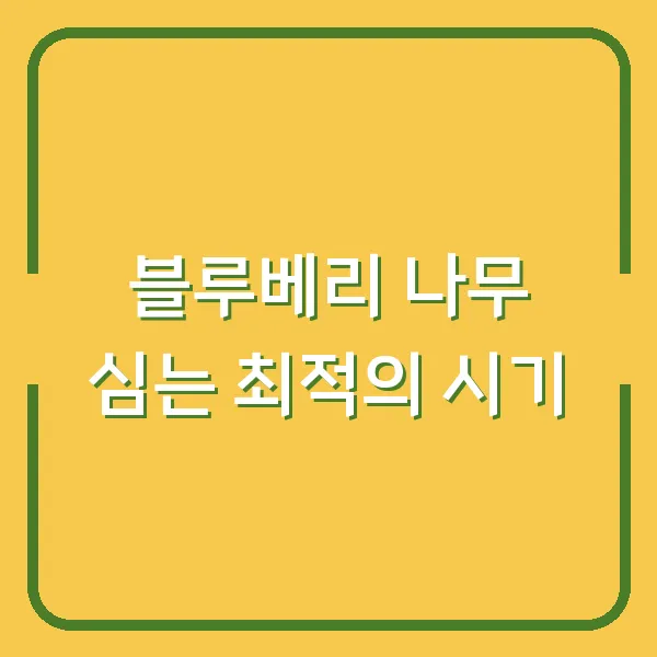 블루베리 나무 심는 최적의 시기