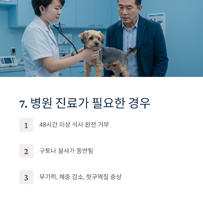 강아지 사료 안먹을 때