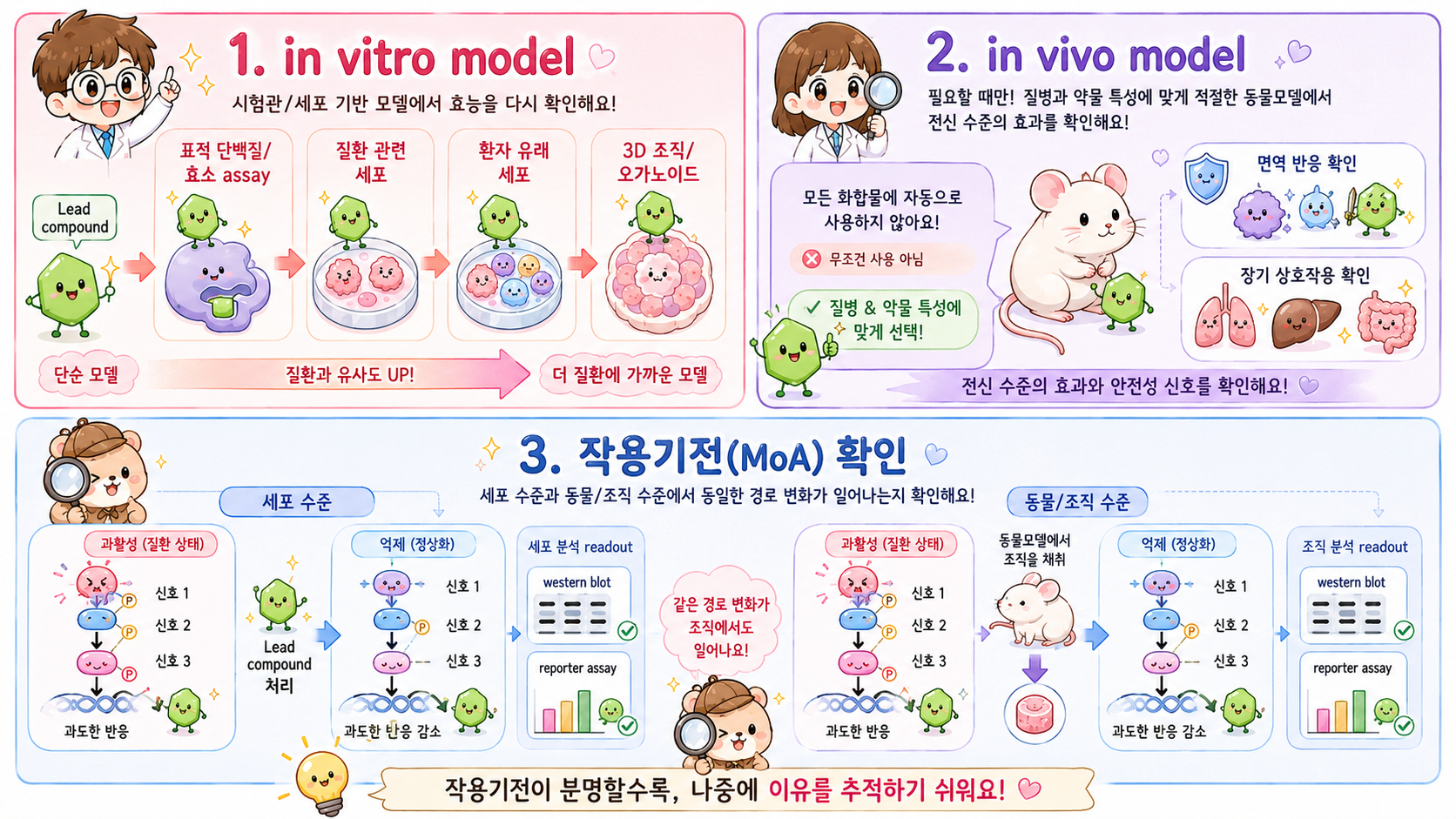 Lead compound의 효능을 in vitro와 in vivo 모델에서 단계적으로 확인하고, 같은 작용기전이 이어지는지 검증하는 과정을 보여줘요
