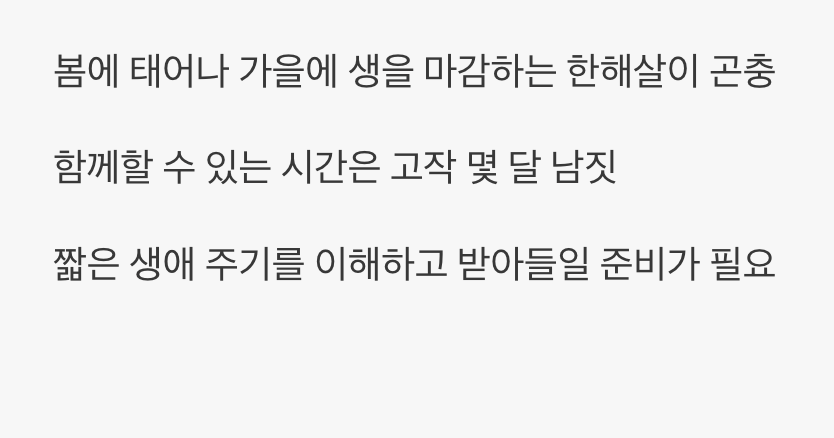 한해살이의 짧은 생, 그 슬픈 운명