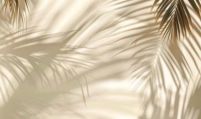 빛과 식물이 만든 그림자의 미학 — 인간 감정의 결을 닮은 예술적 패턴