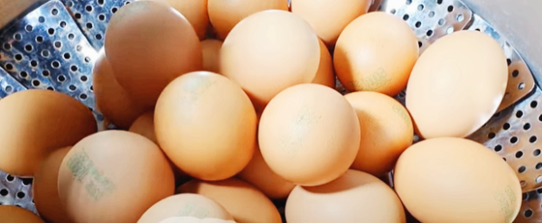 뾰족한 부분으로 올리기