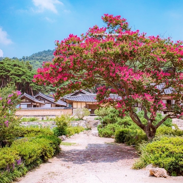 논산 가볼만한곳 베스트10