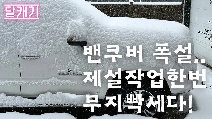폭설 대비 인사 제설 협조 요청 멘트 이웃과 함께하는 문장_5