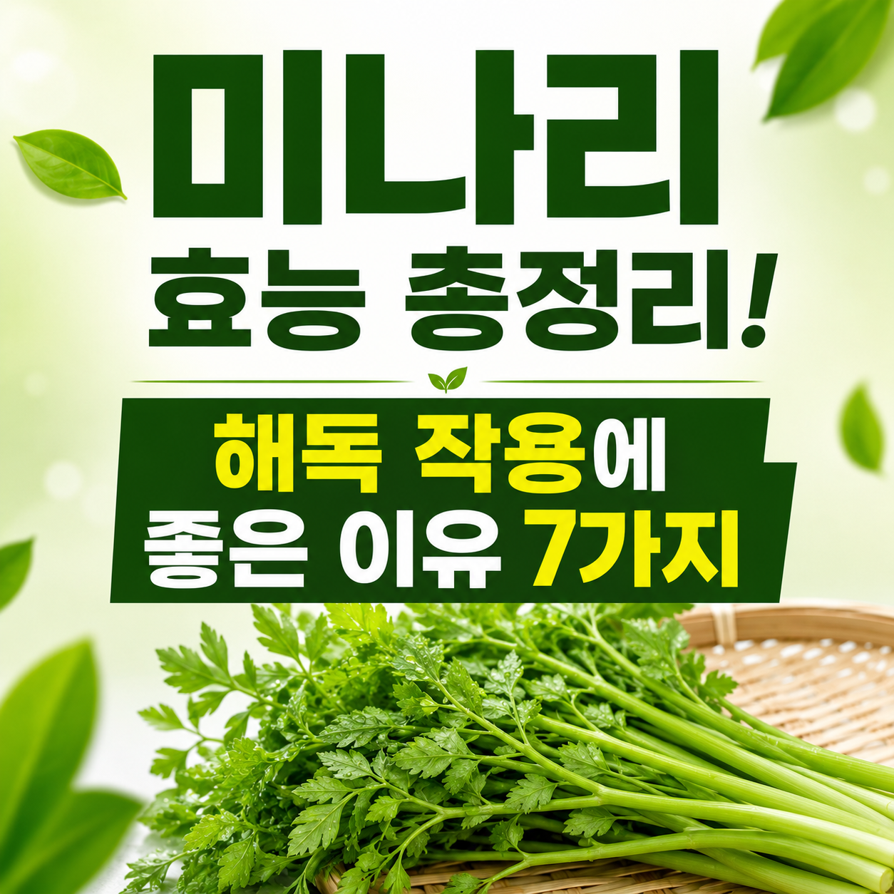 미나리 효능