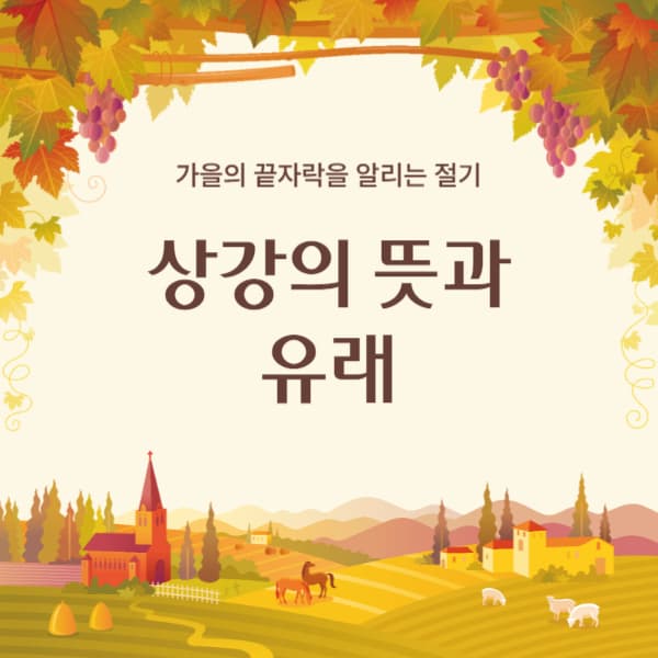 2024년-상강