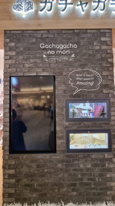 가차갸챠노모리