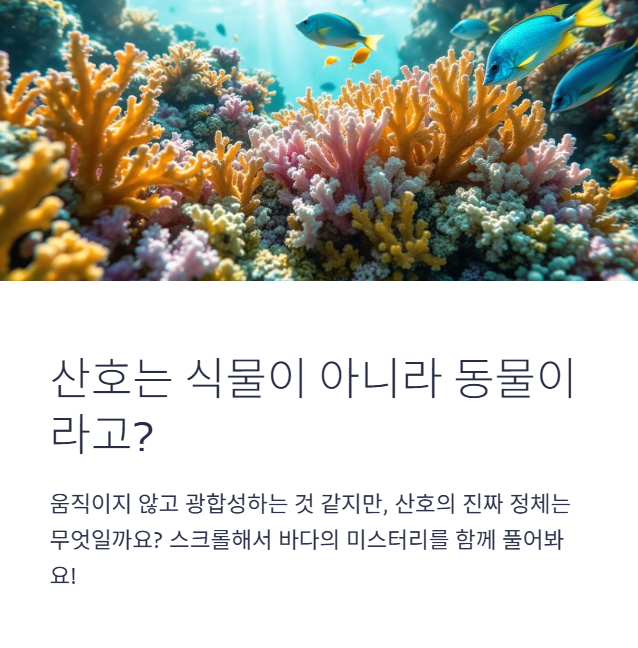 산호는 식물일까, 동물일까? 바다의 정체불명 생명체를 파헤치다