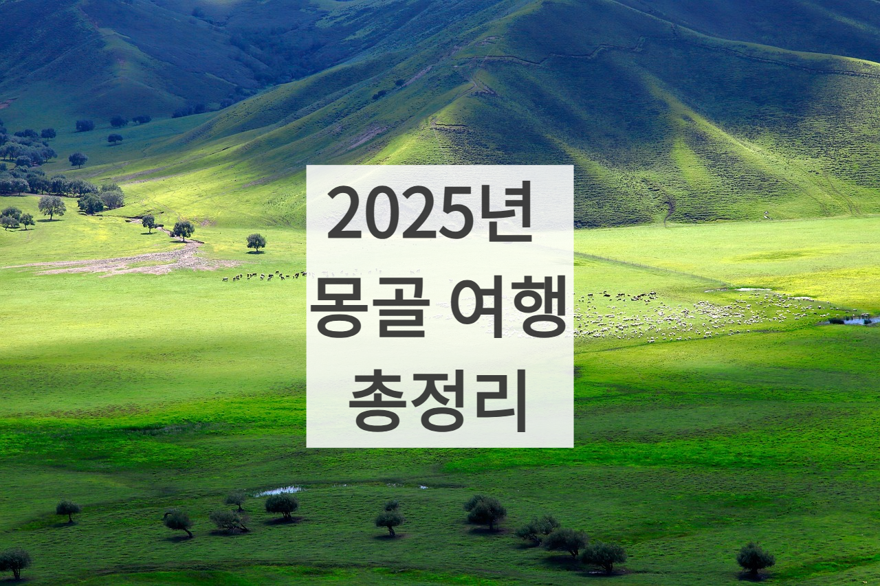 몽골 여행 사진