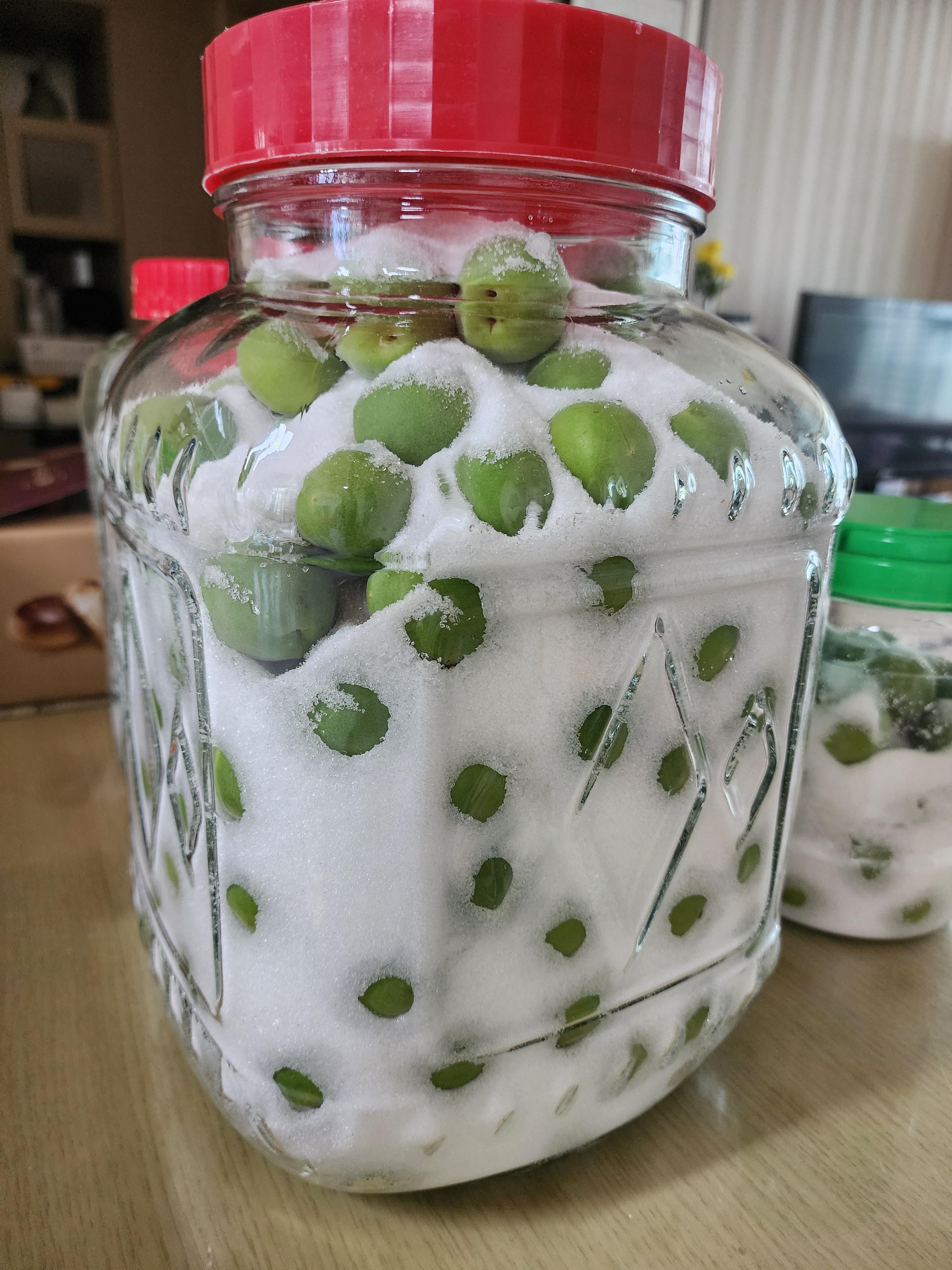 매실청 담그는법, 매실청 숙성기간