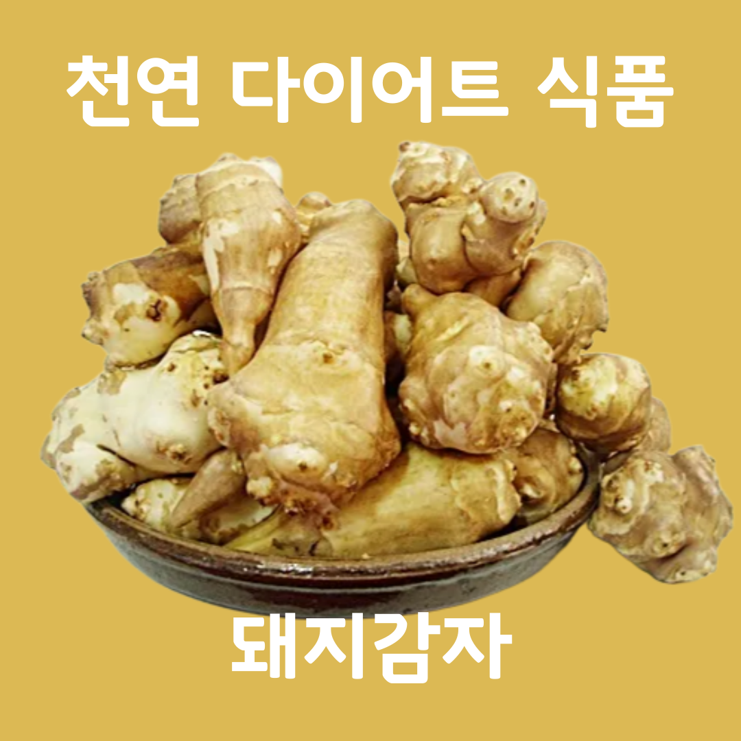 돼지감자 먹는법: 건강한 섭취 방법과 다양한 레시피 관련 돼지감자 이미지