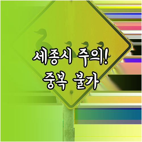 세종시 월세 지원 국토부 특별지원 중..