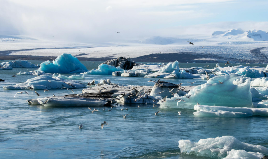 녹아내리는 빙하