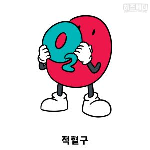 빈혈 원인 만성 질환