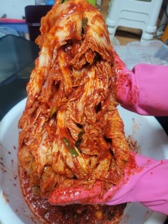 절임배추