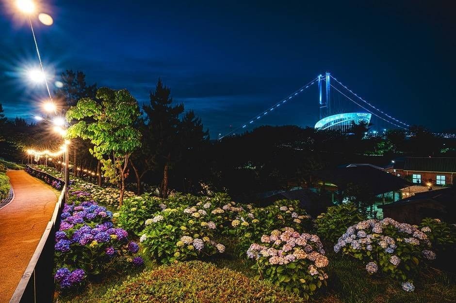 장생포 수국축제 관련 이미지