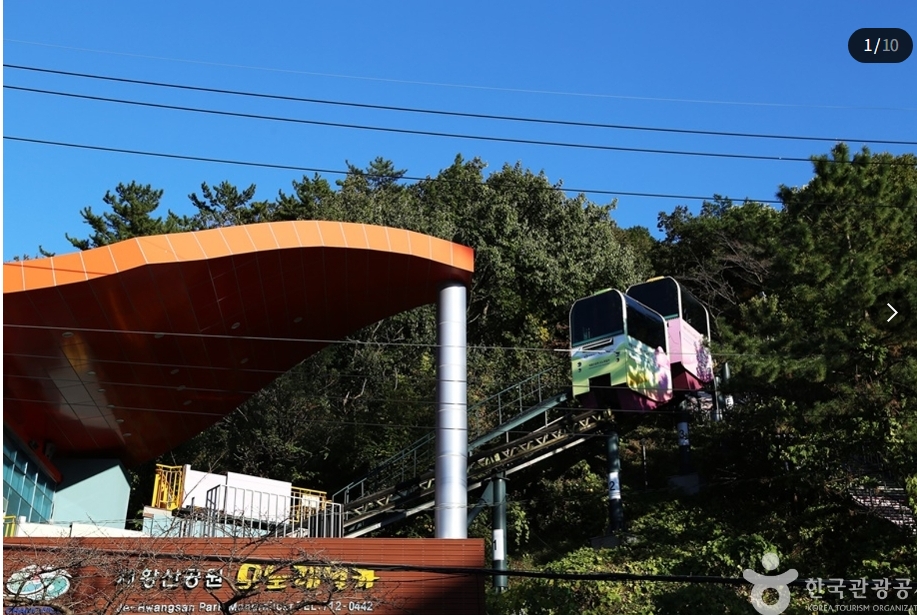 2025 벚꽃 개화시기 벗꽃개화시기 벚꽃개화지도 벗꽃개화지도 사진촬영꿀팁