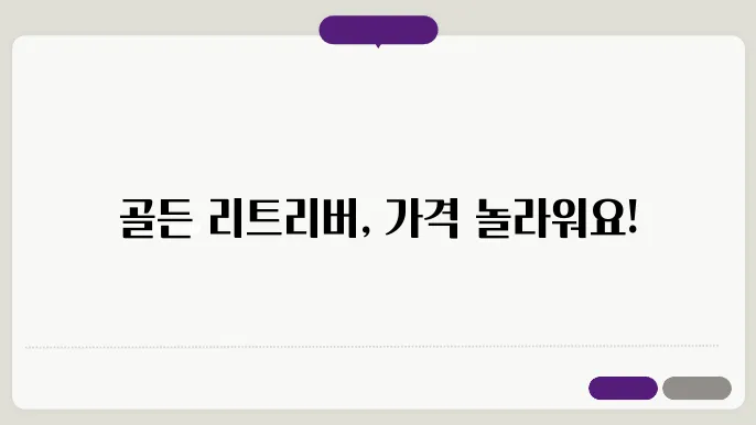 골든리트리버분양가 알아보기