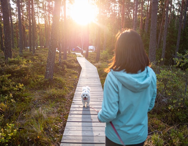 가족이 반려견과 자연휴양림을 산책하는 모습