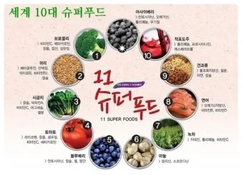 슈퍼푸드 종류 효능_12