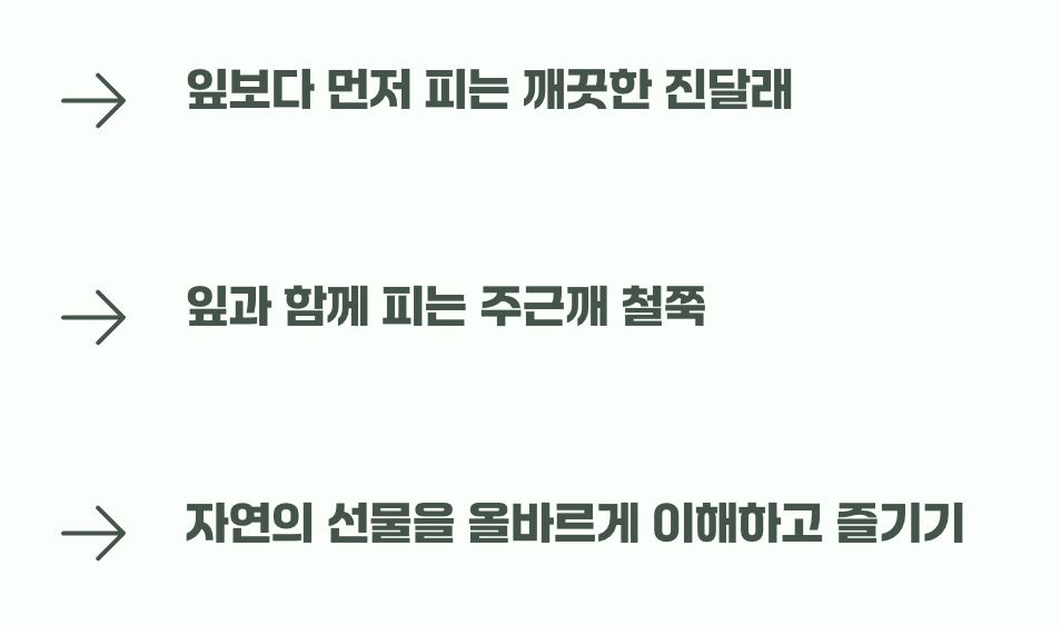 그리움의 색은 하나가 아닙니다