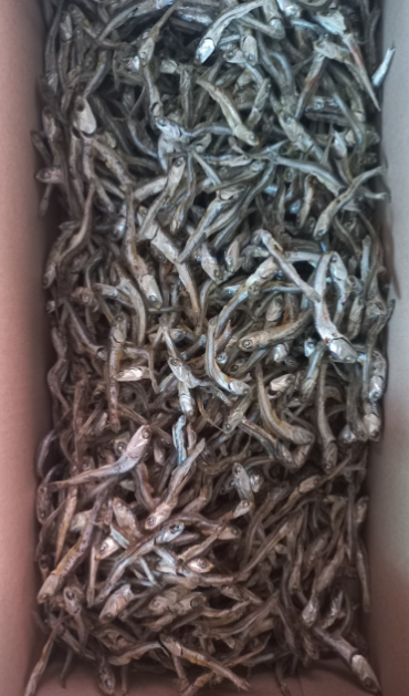 나루터수산 (제일호) 멸치