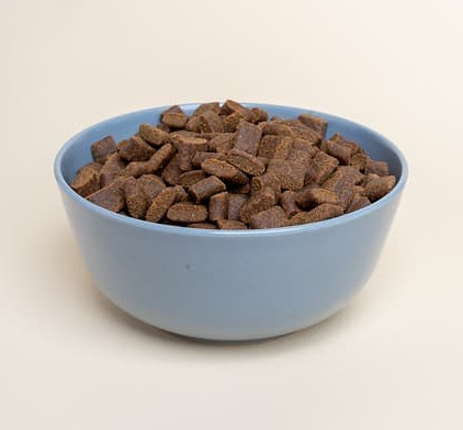 골든리트리버에게 좋은 사료 선택 기준