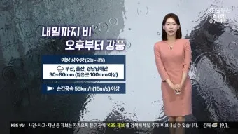 강풍 예비특보 낙과 낙하물 창문 고정 집안 대비법_6