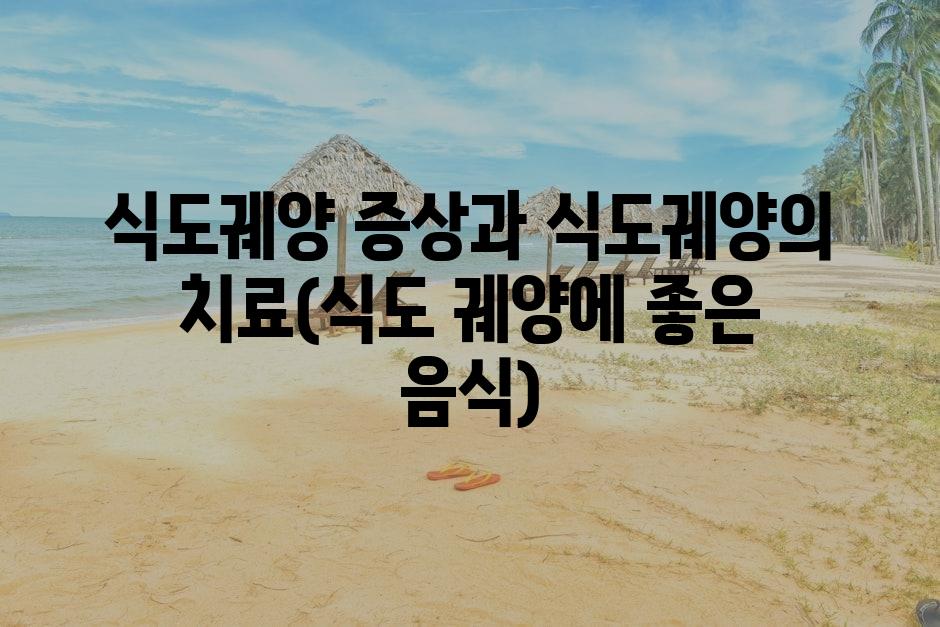 샘플 (87)