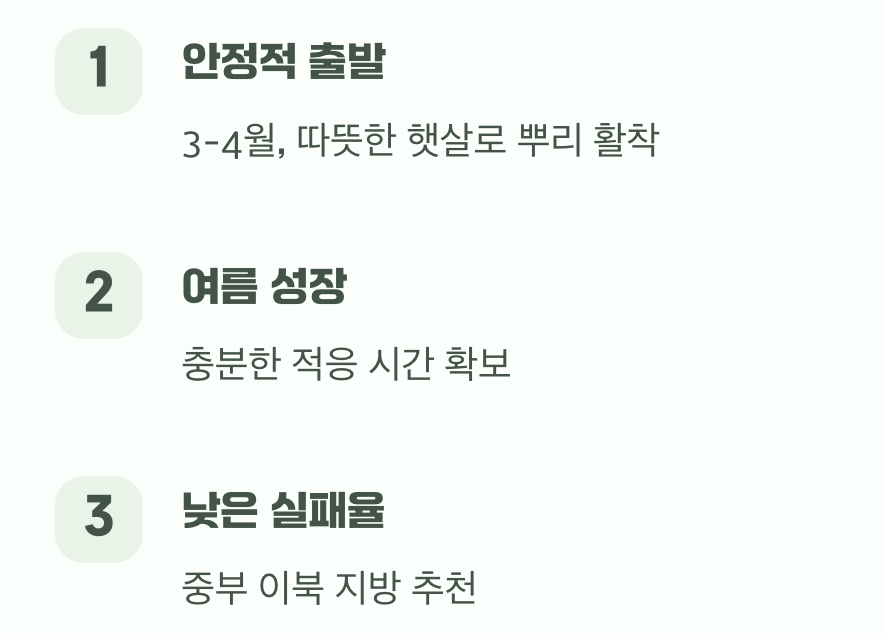 '봄 식재'의 장점: 안정적인 출발